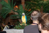 1257_gamescom2012-piranha-bytes-show (34).JPG